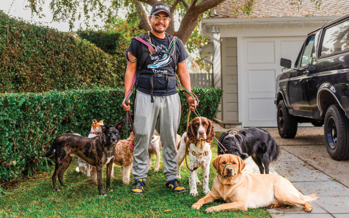 Owner Daniel Juan Stands happily amidst his many dogs on a lawn.