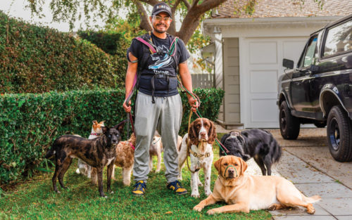 Owner Daniel Juan Stands happily amidst his many dogs on a lawn.